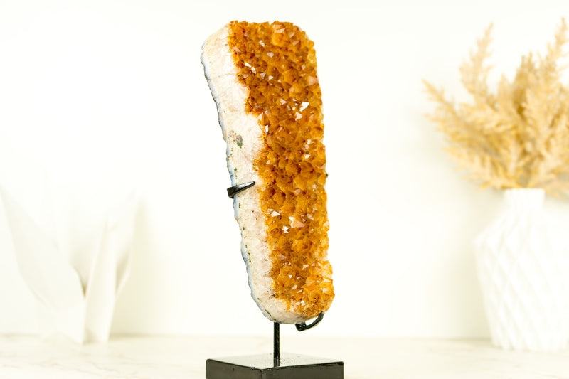Gorgeous Small High-Grade Golden Yellow Citrine Cluster with Sparkly Citrine Druzy - 1.6 Kg - 3.5 lb - E2D Crystals & Minerals