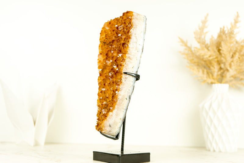 Gorgeous Small High-Grade Golden Yellow Citrine Cluster with Sparkly Citrine Druzy - 1.6 Kg - 3.5 lb - E2D Crystals & Minerals