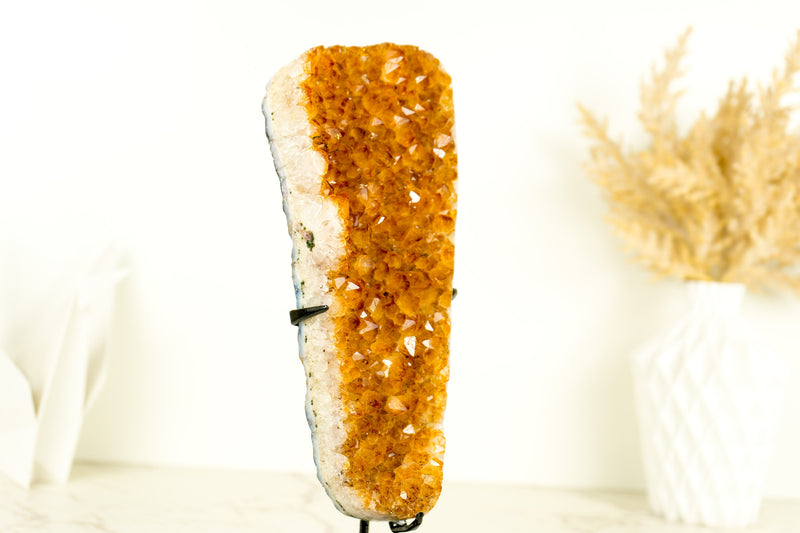 Gorgeous Small High-Grade Golden Yellow Citrine Cluster with Sparkly Citrine Druzy - 1.6 Kg - 3.5 lb - E2D Crystals & Minerals