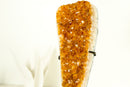 Gorgeous Small High-Grade Golden Yellow Citrine Cluster with Sparkly Citrine Druzy - 1.6 Kg - 3.5 lb - E2D Crystals & Minerals