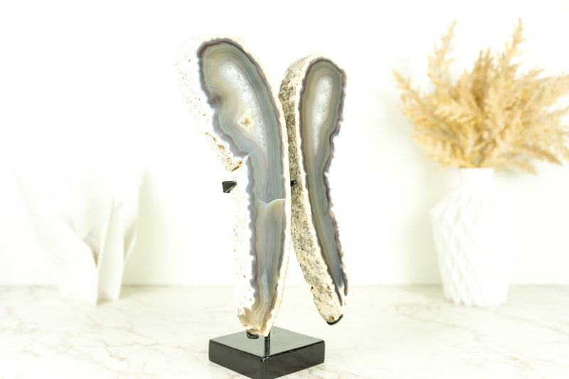 Natural Lace Agate Butterfly on Custom-Made Stand