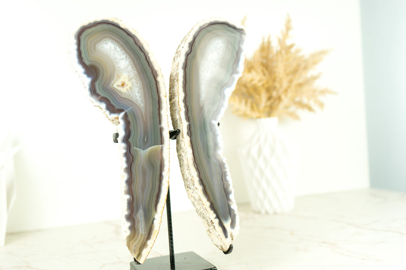 Natural Lace Agate Butterfly on Custom-Made Stand