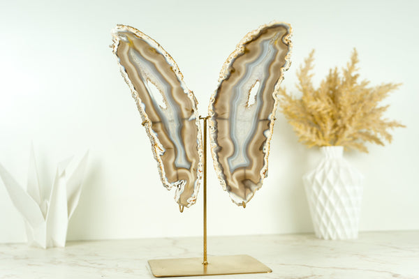 Natural Rare Iridescent Agate Butterfly on Custom-Made Stand