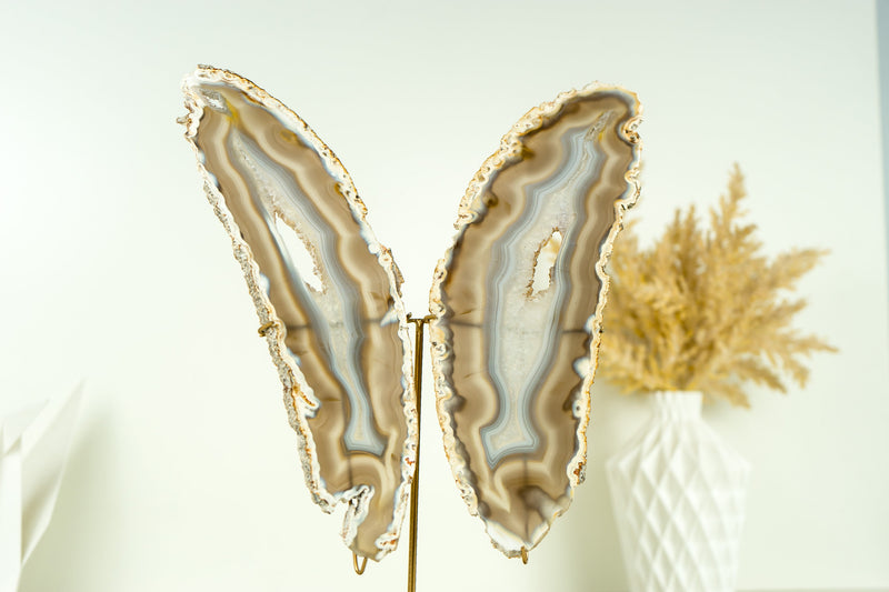 Natural Rare Iridescent Agate Butterfly on Custom-Made Stand