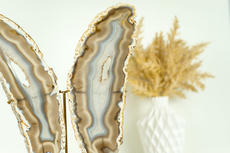 Natural Rare Iridescent Agate Butterfly on Custom-Made Stand