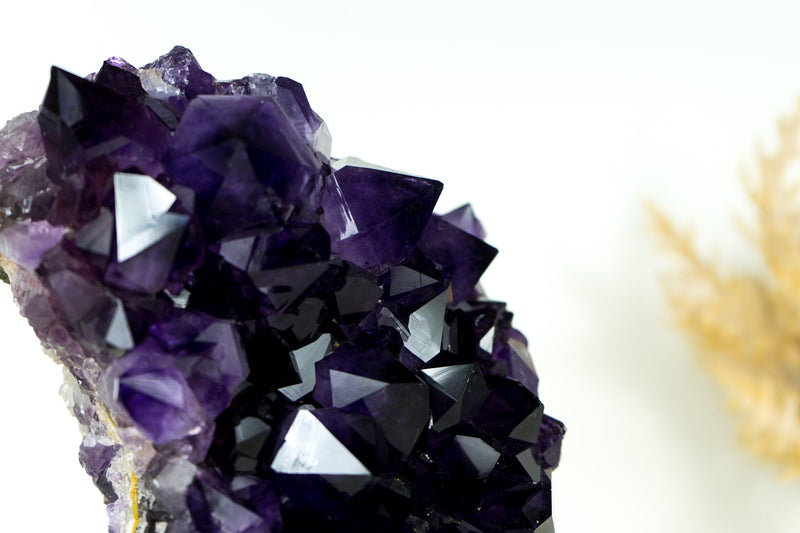 Amethyst Geode Cluster with AAA-Quality Dark, Saturated Purple Amethyst Druzy