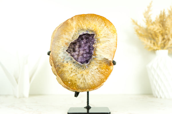 Yellow Agate Geode with Galaxy Purple Amethyst - All Natural, Collector Grade
