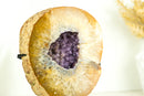 Yellow Agate Geode with Galaxy Purple Amethyst - All Natural, Collector Grade