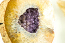 Yellow Agate Geode with Galaxy Purple Amethyst - All Natural, Collector Grade