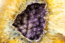 Yellow Agate Geode with Galaxy Purple Amethyst - All Natural, Collector Grade