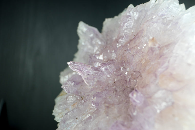 Natürliche Amethyst-Blumenrosette in Galeriequalität in ihrer Matrix, XL