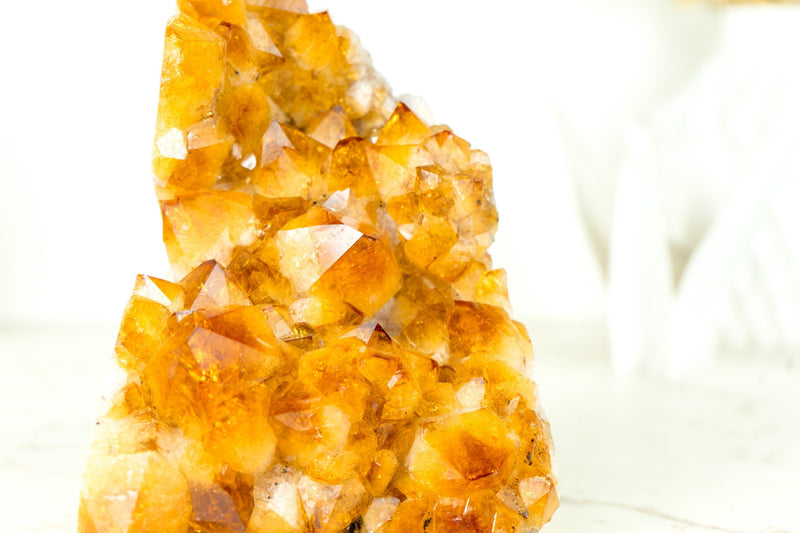 Natural Citrine Cluster, with Large, AAA, Rich Yellow Citrine Druzy- 2.5 Kg - 5.4 lb - E2D Crystals & Minerals