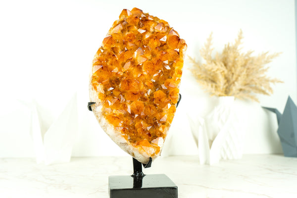 Majestic Orange Citrine Cluster with Rich Orange Citrine Druzy on Stand