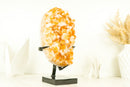 Gorgeous High-Grade Golden Yellow Citrine Cluster with Flower Like Formation - 11.0 In - 10.9 Lb - E2D Crystals & Minerals