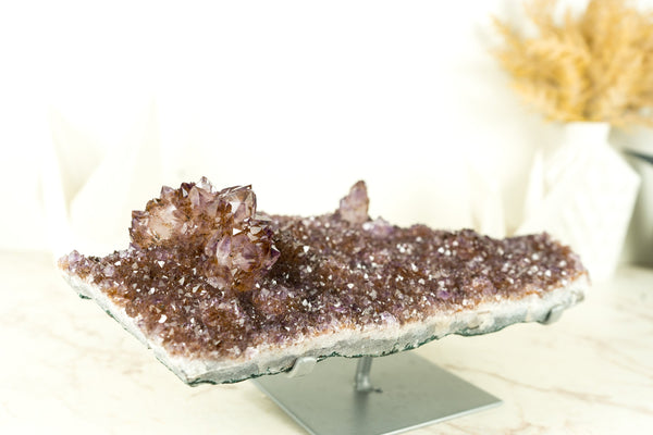 Amethystplatte in Galeriequalität mit seltenen goldenen Goethit (auch bekannt als Cacoxenit) Amethyst-Blumenrosetten