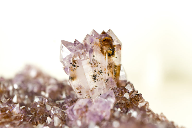Amethystplatte in Galeriequalität mit seltenen goldenen Goethit (auch bekannt als Cacoxenit) Amethyst-Blumenrosetten
