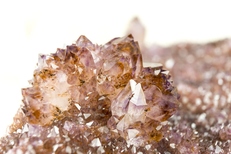 Amethystplatte in Galeriequalität mit seltenen goldenen Goethit (auch bekannt als Cacoxenit) Amethyst-Blumenrosetten