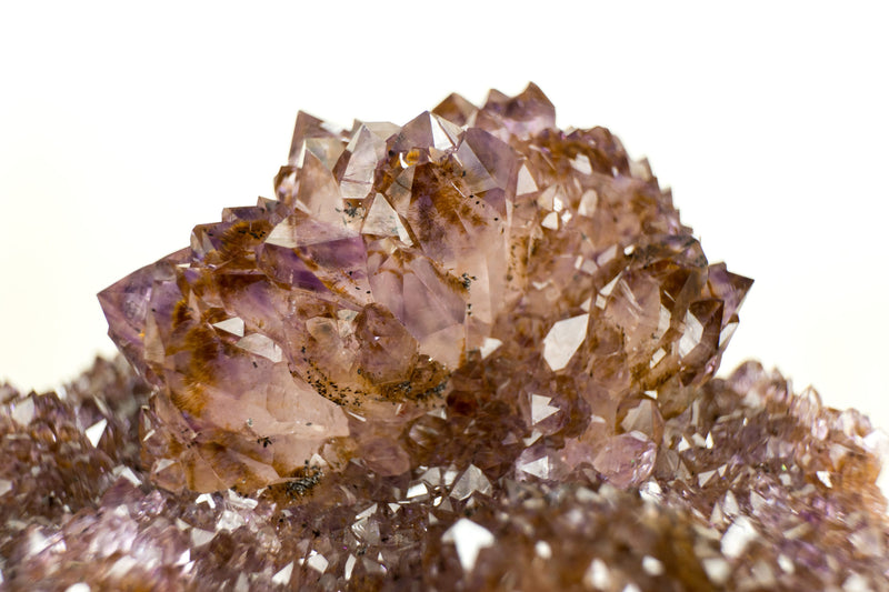 Amethystplatte in Galeriequalität mit seltenen goldenen Goethit (auch bekannt als Cacoxenit) Amethyst-Blumenrosetten