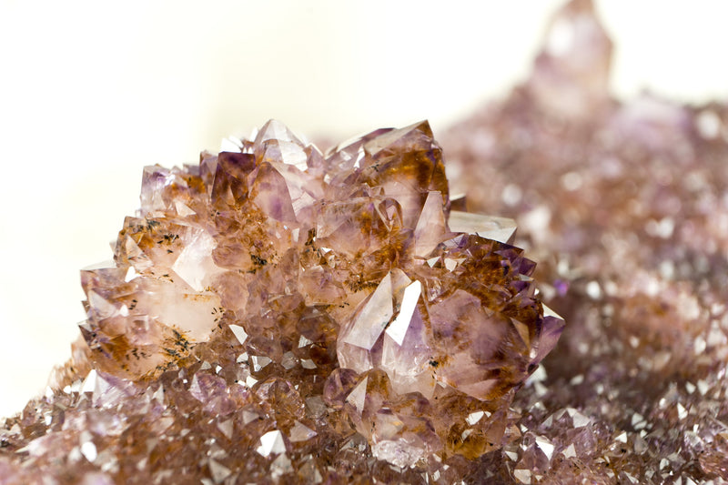 Amethystplatte in Galeriequalität mit seltenen goldenen Goethit (auch bekannt als Cacoxenit) Amethyst-Blumenrosetten