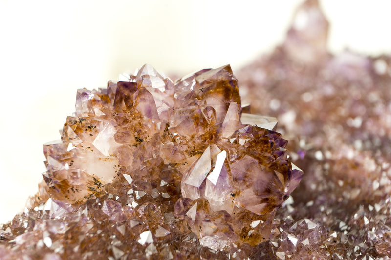 Gallery-Grade Amethyst Plate with Rare Golden Goethite (AKA Cacoxenite) Amethyst Flower Rosettes