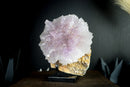 Gallery Grade Natural Amethyst Flower Rosette in its Matrix, X Large