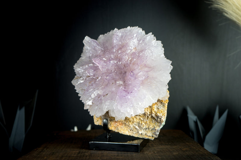Natürliche Amethyst-Blumenrosette in Galeriequalität in ihrer Matrix, XL