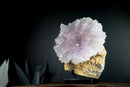 Gallery Grade Natural Amethyst Flower Rosette in its Matrix, X Large