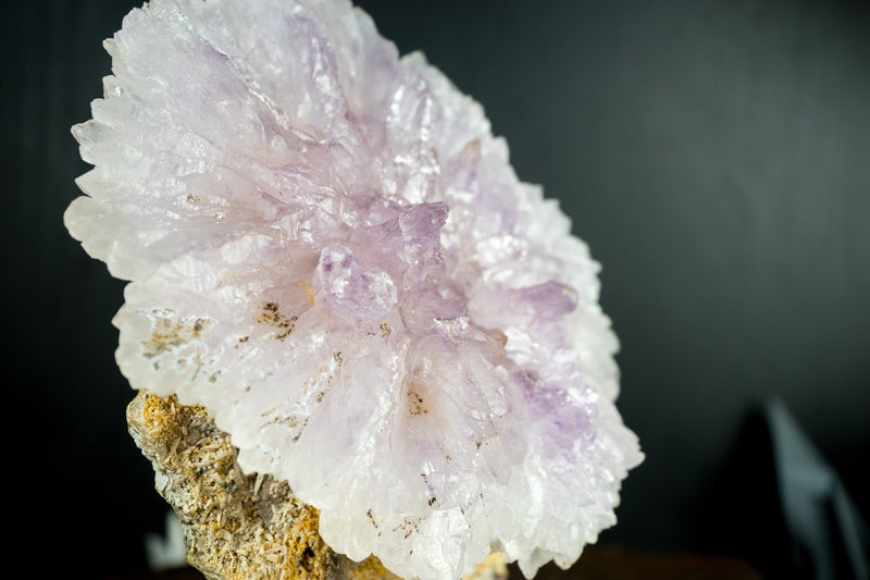 Natürliche Amethyst-Blumenrosette in Galeriequalität in ihrer Matrix, XL
