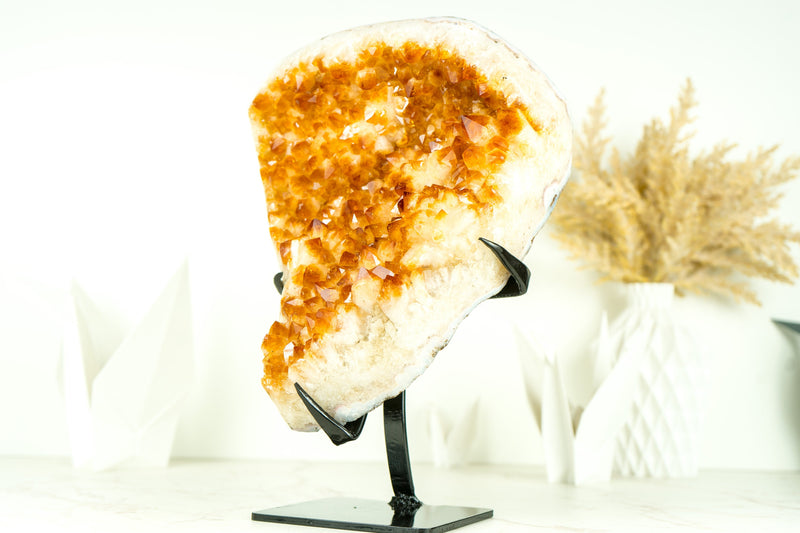 Natural Rich Orange Citrine Cluster with Orange Citrine Druzy and Flower Rosettes on Stand - 12.2 In - 12.9 Lb - E2D Crystals & Minerals