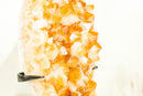 Gorgeous High-Grade Golden Yellow Citrine Cluster with Flower Like Formation - 11.0 In - 10.9 Lb - E2D Crystals & Minerals