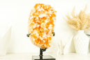 Gorgeous High-Grade Golden Yellow Citrine Cluster with Flower Like Formation - 11.0 In - 10.9 Lb - E2D Crystals & Minerals