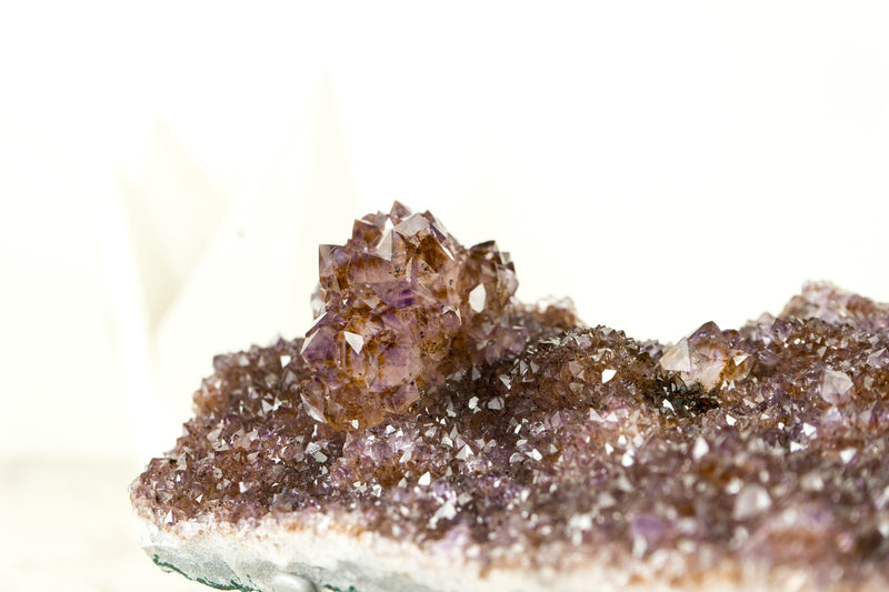 Amethystplatte in Galeriequalität mit seltenen goldenen Goethit (auch bekannt als Cacoxenit) Amethyst-Blumenrosetten