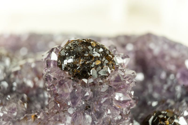 Achat-Geode in Galeriequalität mit seltener Goethit-Blume (auch bekannt als Cacoxenit)