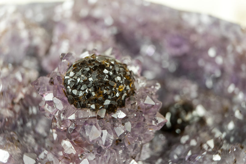 Achat-Geode in Galeriequalität mit seltener Goethit-Blume (auch bekannt als Cacoxenit)