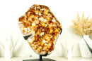 Large High-Grade Natural Citrine Cluster with AAA Amber Citrine Druzy