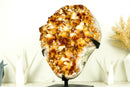 Large High-Grade Natural Citrine Cluster with AAA Amber Citrine Druzy