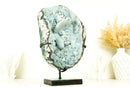 Natural Baby Blue Agate with Botryoidal Formations and Moss Agate Matrix
