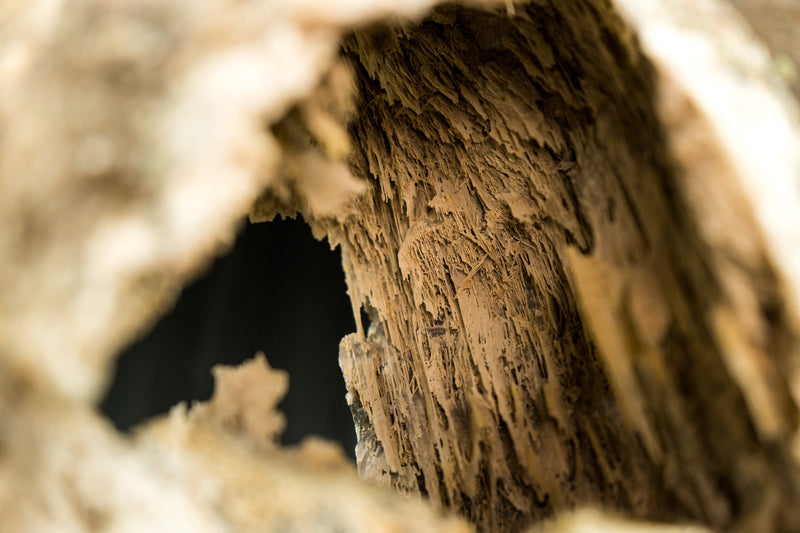 Ultra Rare Stalactite Formed Amethyst Geode, A Landscape Geode Masterpiece