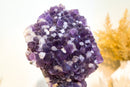Galaxy Amethyst Druzy Cluster, AKA Sugar Coated Amethyst, Deep Purple with Calcite