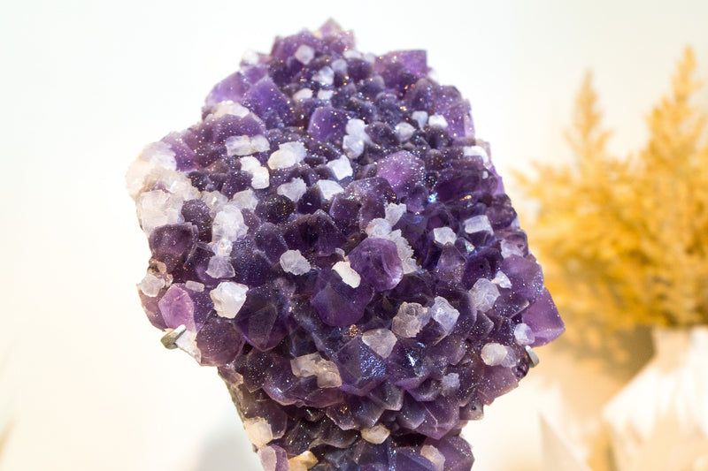 Galaxy Amethyst Druzy Cluster, auch bekannt als gezuckerter Amethyst, Dunkelviolett mit Calcit
