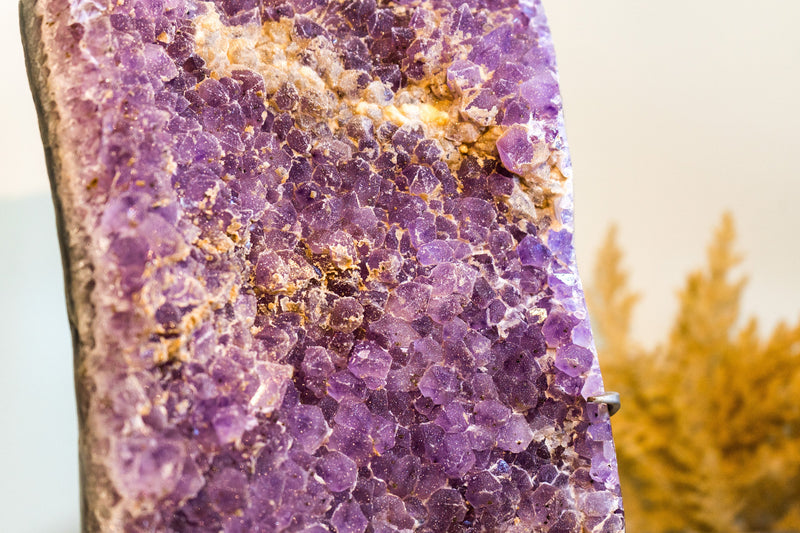 Sugar Coated Galaxy Amethyst Cluster with Rare Lavender Amethyst Druzy