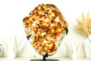 Large High-Grade Natural Citrine Cluster with AAA Amber Citrine Druzy