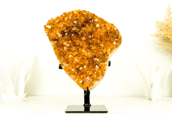 AAA Natural Citrine Crystal Cluster with Sparkly Orange Citrine Druzy - E2D Crystals & Minerals