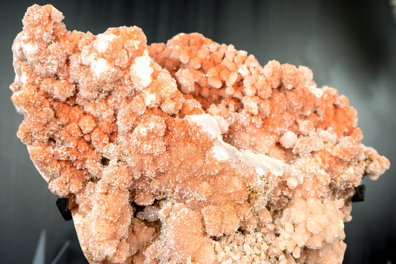 Pink Amethyst Geode with Natural Red Amethyst Galaxy Druzy with Botryoidal Flowers