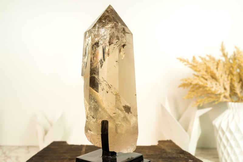 Epic Natural Raw Citrine Crystal Quartz, AAA Honey Yellow Citrine, X Large Size, and Water Clear - Ethically Sourced - 3.9 Kg - 8.7 lb - E2D Crystals & Minerals