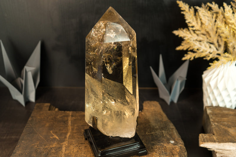 Epic Natural Raw Citrine Crystal Quartz, AAA Honey Yellow Citrine, X Large Size, and Water Clear - Ethically Sourced - 3.9 Kg - 8.7 lb - E2D Crystals & Minerals