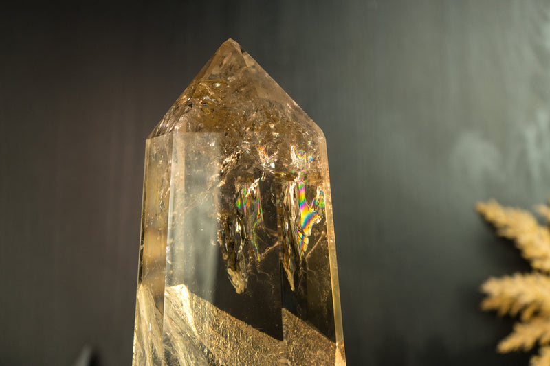 Epic Natural Raw Citrine Crystal Quartz, AAA Honey Yellow Citrine, X Large Size, and Water Clear - Ethically Sourced - 3.9 Kg - 8.7 lb - E2D Crystals & Minerals