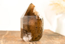 Natural High-Grade Bronze Smoky Quartz with a Marine Landscape Lodolite Quartz