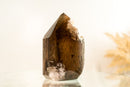 Natural High-Grade Bronze Smoky Quartz with a Marine Landscape Lodolite Quartz