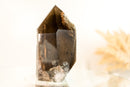 Natural High-Grade Bronze Smoky Quartz with a Marine Landscape Lodolite Quartz